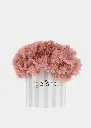 Pixie-Tutu-Star-Tea-Rose-Box-Web.webp