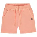 TND Big Wave fresh salmon - SHORT SAUMON